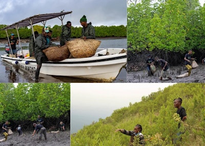 Mangrove and Kijabe Reforestation